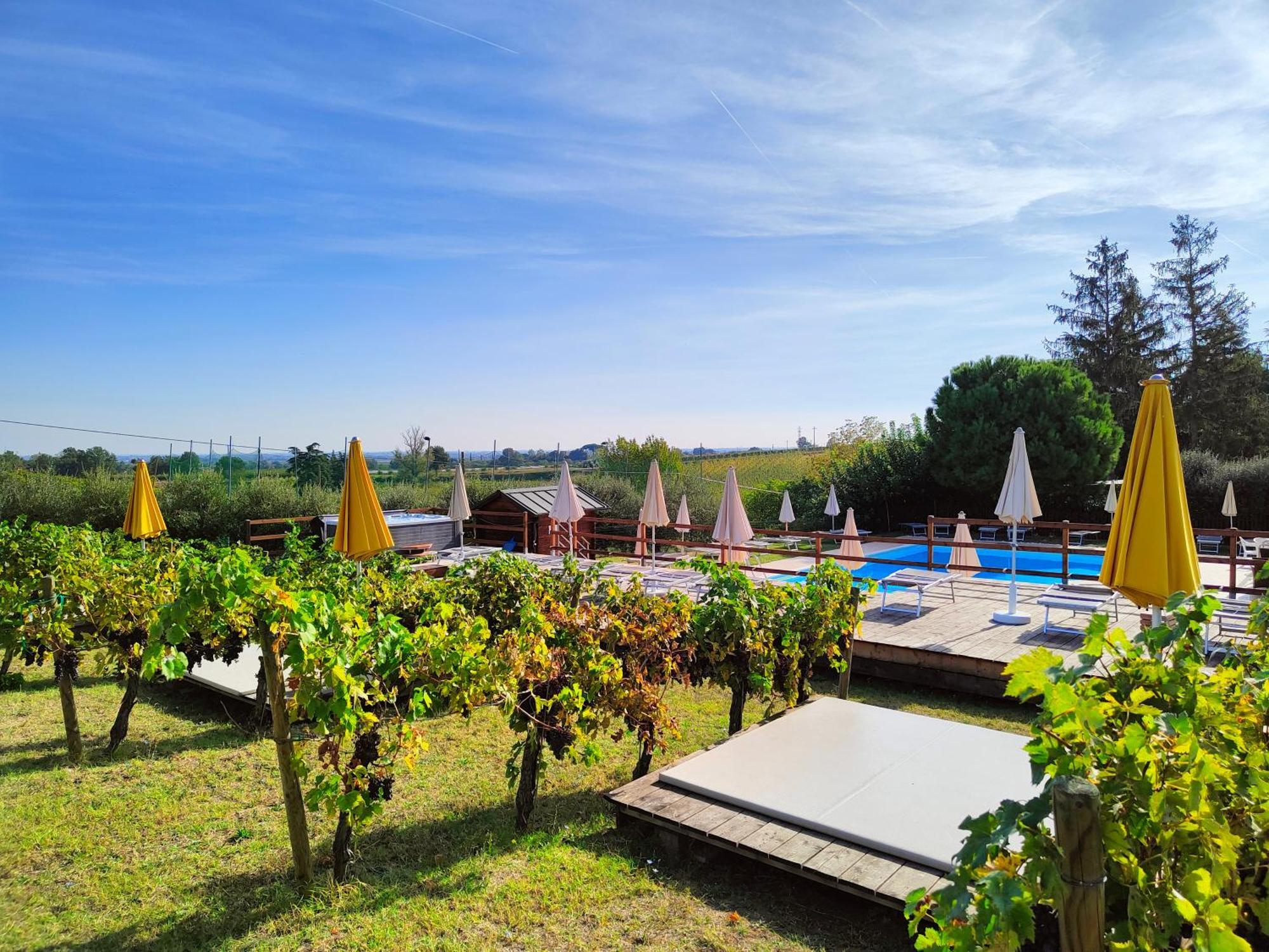 פאנצה Agriturismo E Cantina La Sabbiona מראה חיצוני תמונה